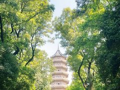 -灵谷景区