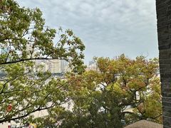 -江心屿景区