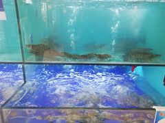 -南海渔家•海鲜•正宗海南菜(海棠湾店)