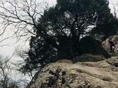-灵岩山风景区