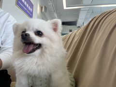 -怪兽屋·羊驼·猫咖·狗咖(俊华广场店)