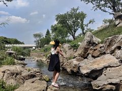 -羊山湖公园