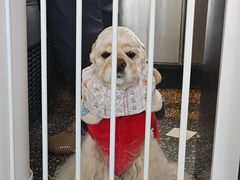 -小意思咖啡店(草桥店)