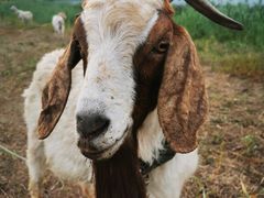 -天津东丽湖风景区