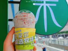 -茉酸奶(春熙路店)