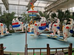 -南宫五洲植物乐园