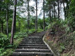 -广州白江湖森林公园