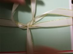 -维尔纳斯·生日蛋糕动物奶油冰淇淋蛋糕(人大店)