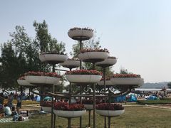 -武清南湖绿博园