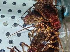 -渔码头食府·20年蓬莱老字号(登州路店)