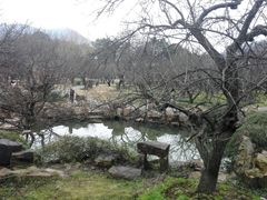-香雪海