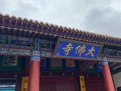 -张掖大佛寺景区