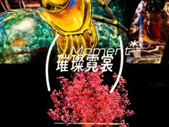 -索拉古贝(义乌北苑店)