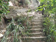 -南山植物园