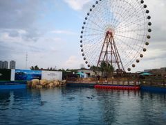 -三亚海昌梦幻海洋不夜城