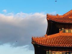 -故宫博物院(故宫)