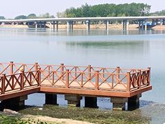 -丁香湖公园