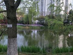 -圩墩遗址公园