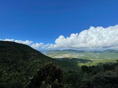 -三亚亚龙湾人间天堂鸟巢度假村
