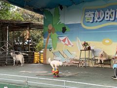 -光明农场大观园