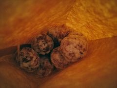 -糖葫芦王保定名吃(古莲花池店)