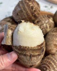 -雅曼妮spa美容养生