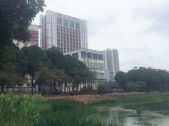 -南宁南湖公园