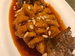 -上海小南国(国会店)