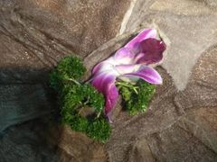 -大妙火锅·非物质文化遗产(东湖公园店)