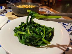 豌豆苗-江南赋(内蒙古大厦店)