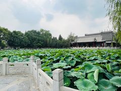 -莲池书院博物馆