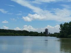 -大湾区中央湿地公园