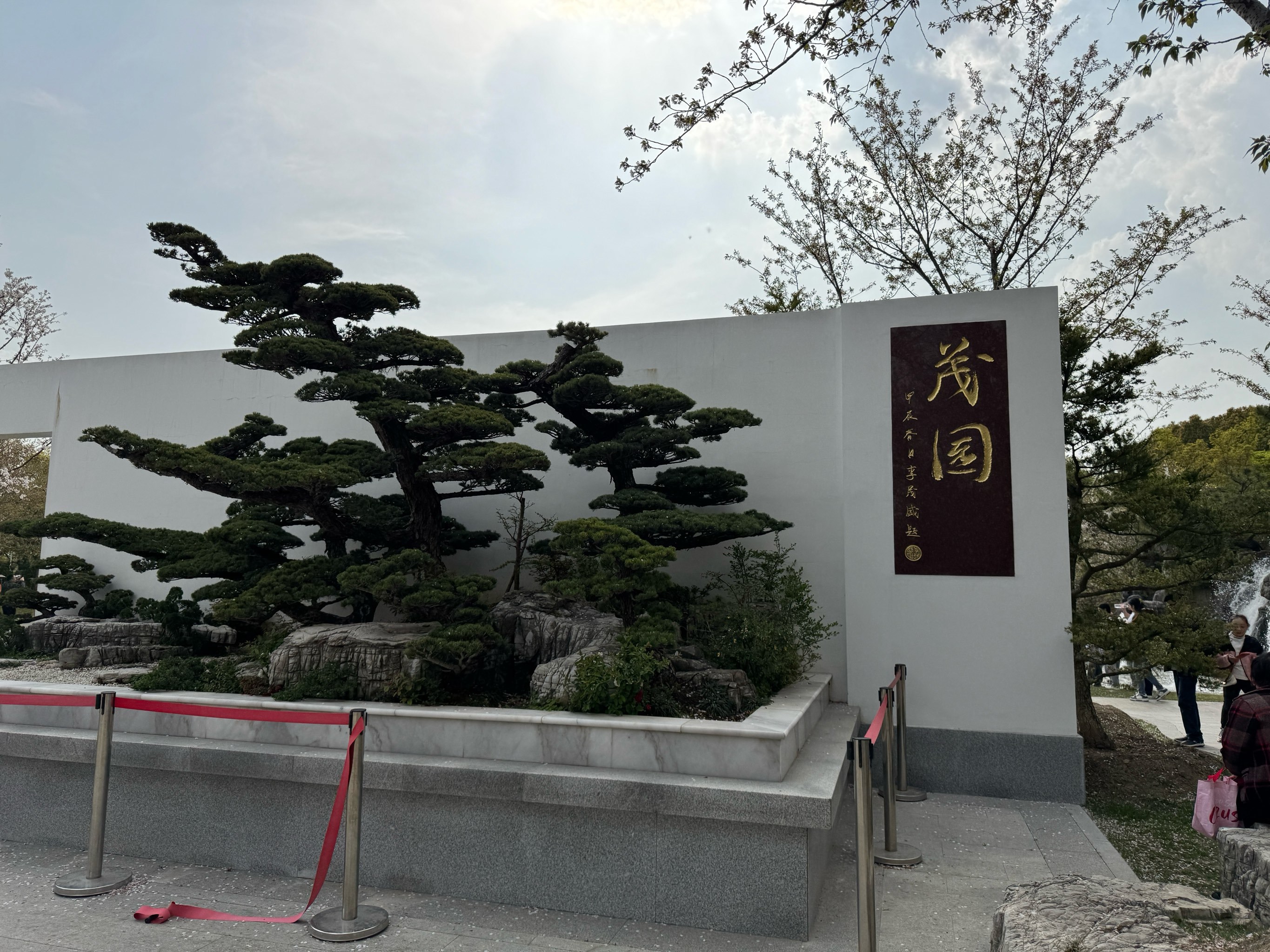 春光美不胜收