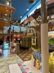 -卡通尼·Safari非洲探索乐园·生日会(金桥国际商业广场店)