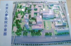 -首都医科大学附属北京儿童医院
