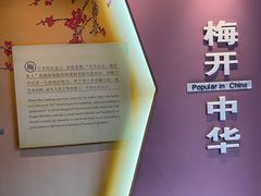 -梅园