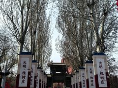 -大槐树寻根祭祖园