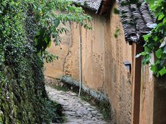 -杨家堂村