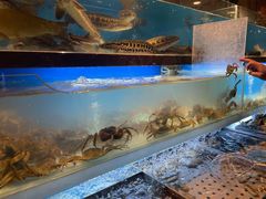 -喜庭海鲜自助(来福士店)