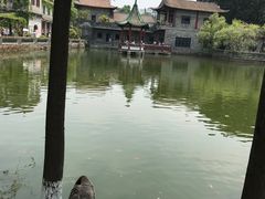 -东莞市可园博物馆