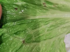 魔方雪花牛肉-韩时烤肉(枫蓝店)