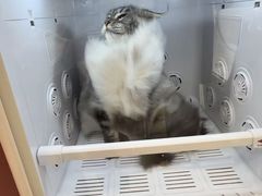 -FAELING PETS美天灵宠物(合生汇店)