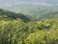 -紫金山天文台