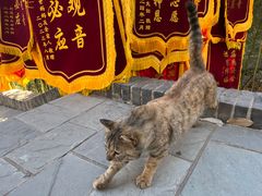 -红螺寺