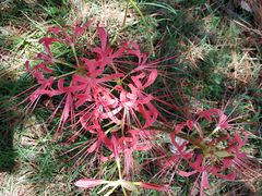 -江南大学(蠡湖校区)