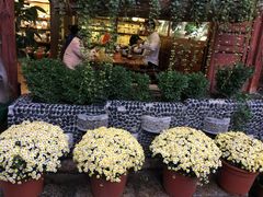 -尼玛藏家风味园(阿山食城店)