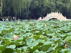 -莲池书院博物馆
