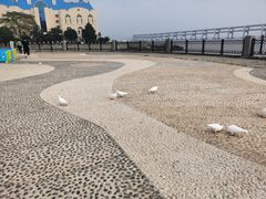-黑石礁公园