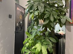 -京狮炙燥·精酿烧烤(首经贸店)