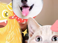 -鱼四季(五彩世界店)